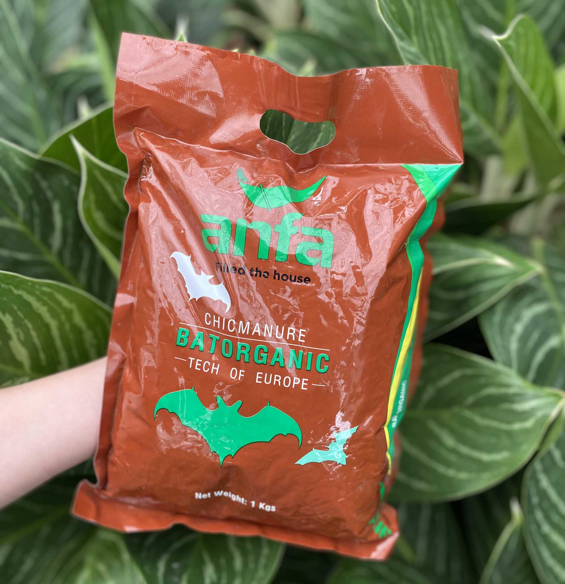 Cách chăm sóc rau trên sân thượng xanh mướt