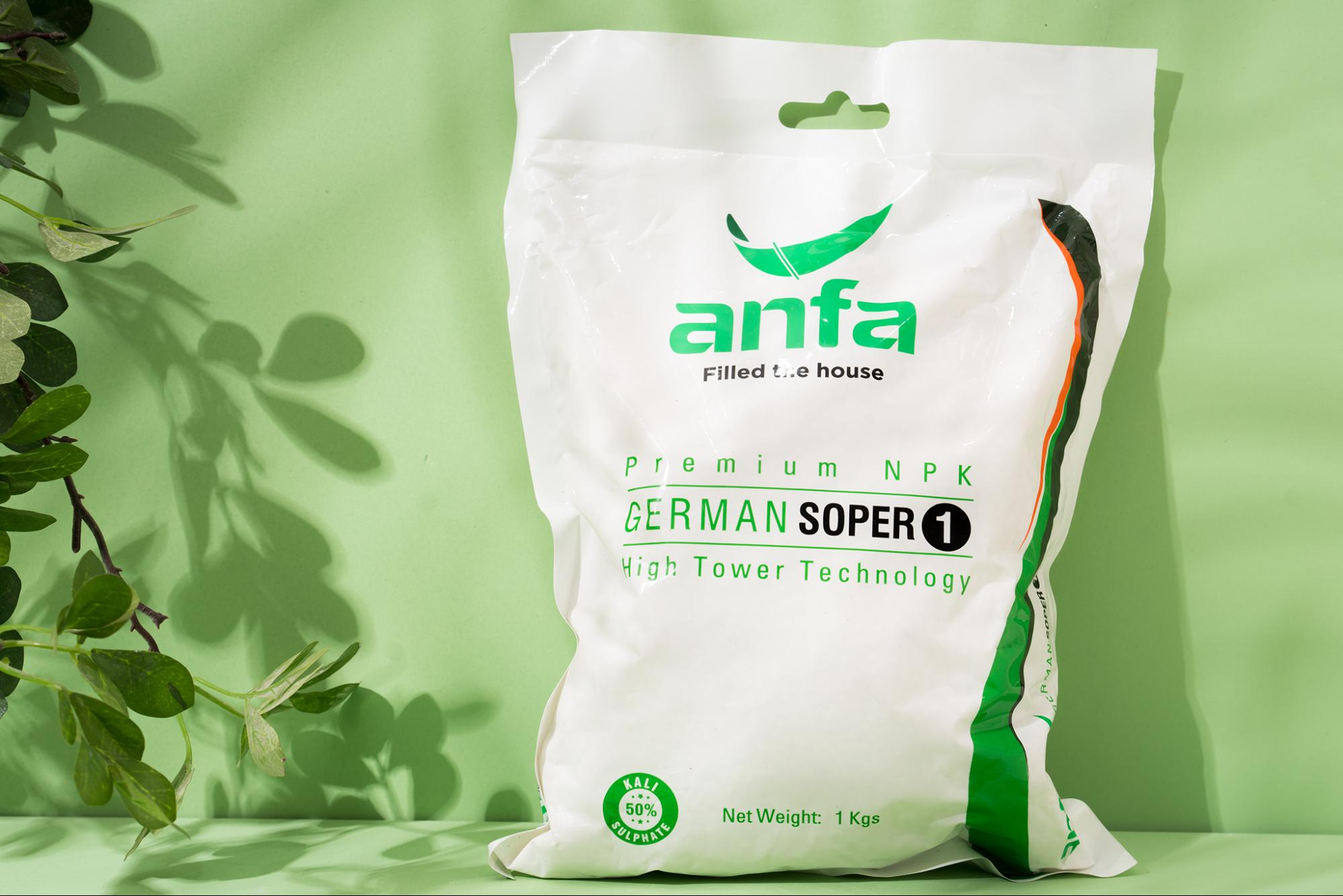 Các loại rau dễ trồng trên sân thượng