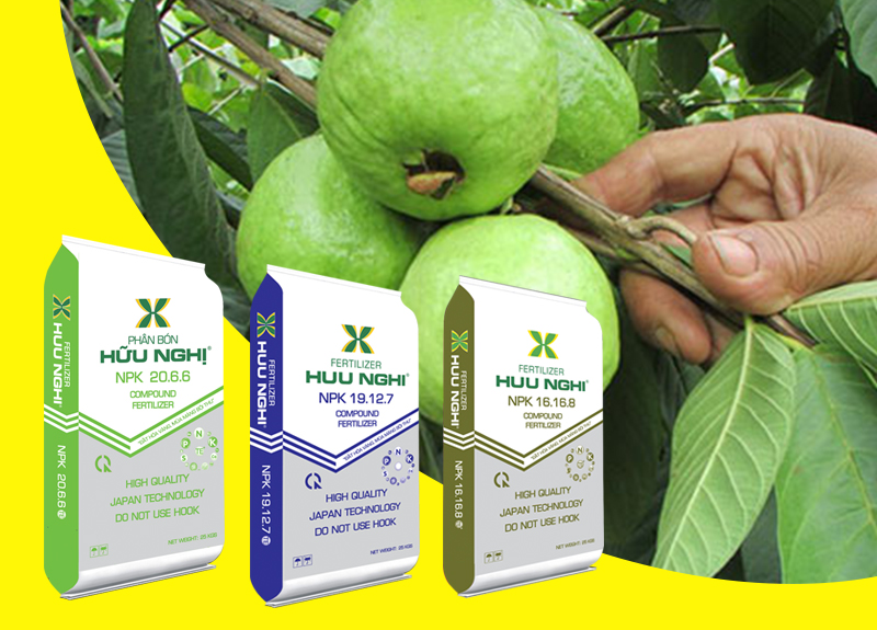CÔNG TY LIÊN DOANH PHÂN BÓN HỮU NGHỊ Phân bón chuyên dùng cho ổi giai đoạn kinh doanh