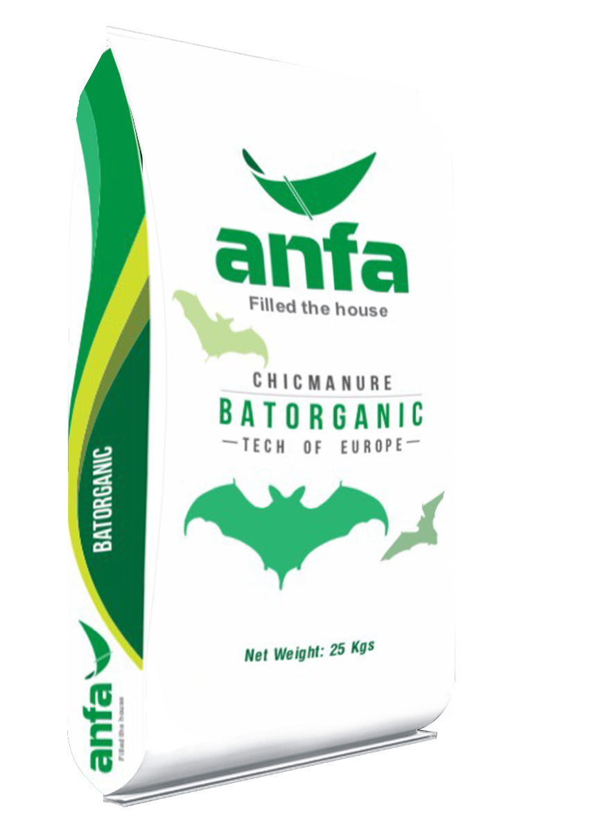 Trồng và chăm sóc rau ăn lá rau sạch năng suất