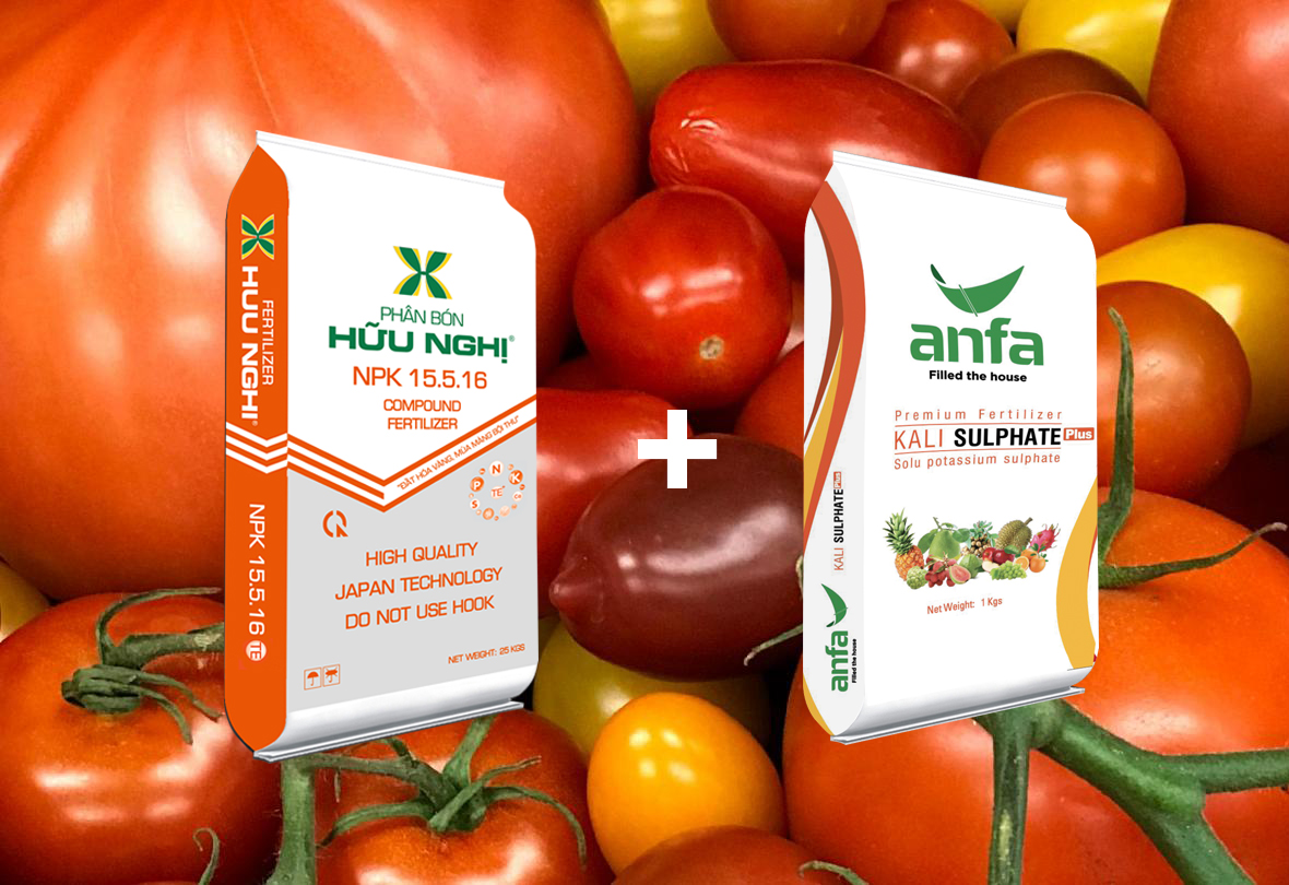 CÔNG TY LIÊN DOANH PHÂN BÓN HỮU NGHỊ