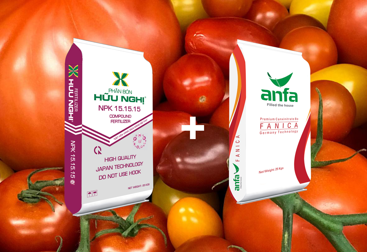 CÔNG TY LIÊN DOANH PHÂN BÓN HỮU NGHỊ